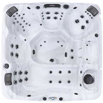 Avalon EC-867L hot tubs for sale in Lakewood